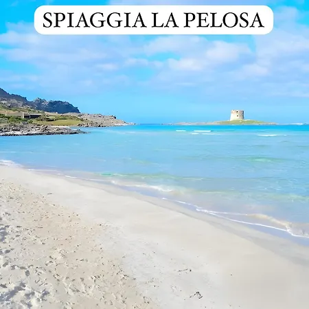 Grecale * Stintino