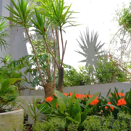 Casa de Férias Grecale *